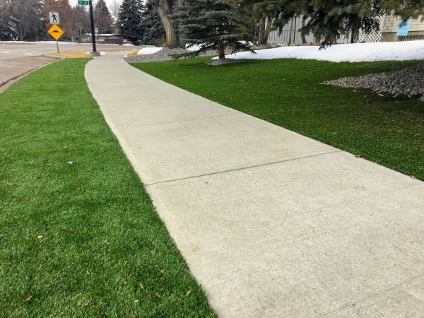 Sidewalk Repair in Palatine