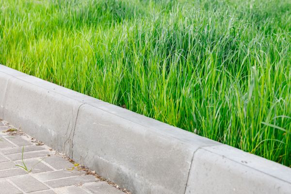 Cost of Concrete Curb Repair in Palatine