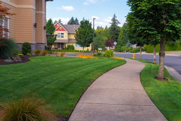 Cost of Sidewalk Patching in Palatine