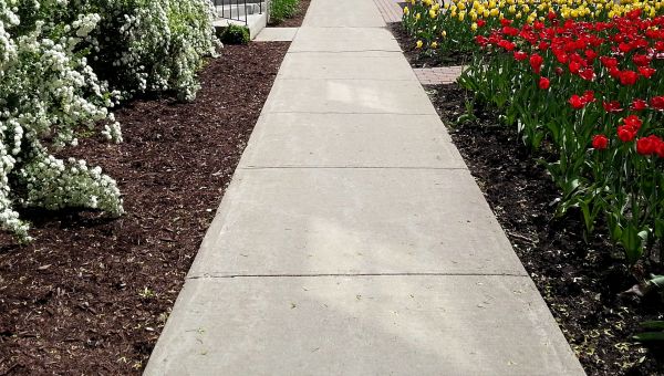 Concrete Pathway Repair in Palatine