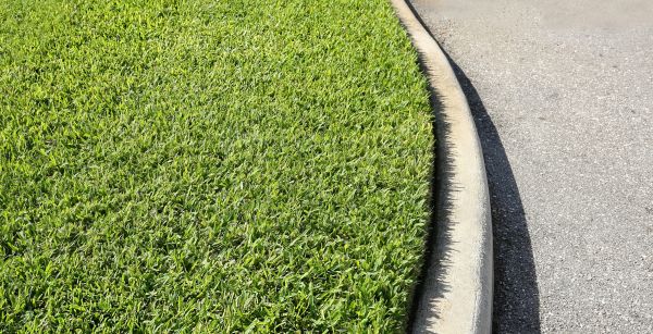 Driveway Curb Repair in Palatine