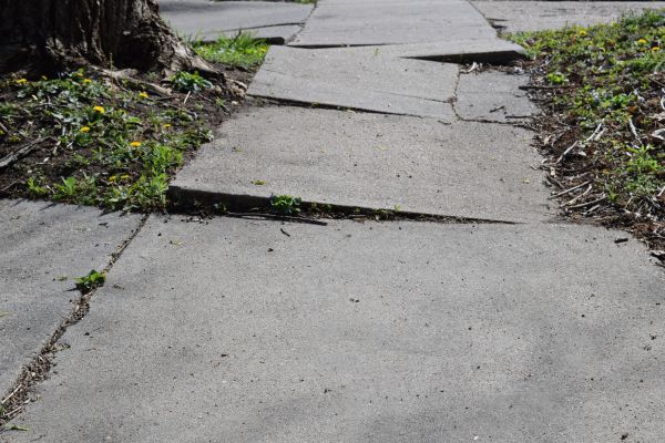 Cost of Trip Hazard Removal in Palatine